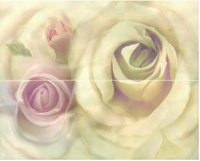комплект Decor Romance Crema Rosa
